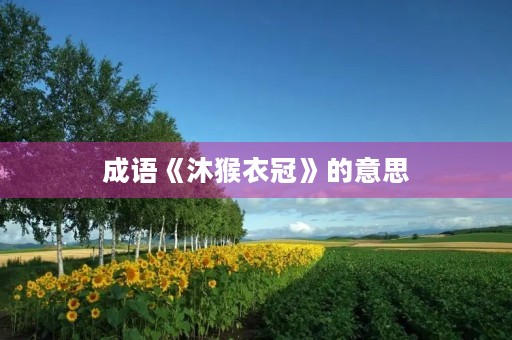 成语《沐猴衣冠》的意思