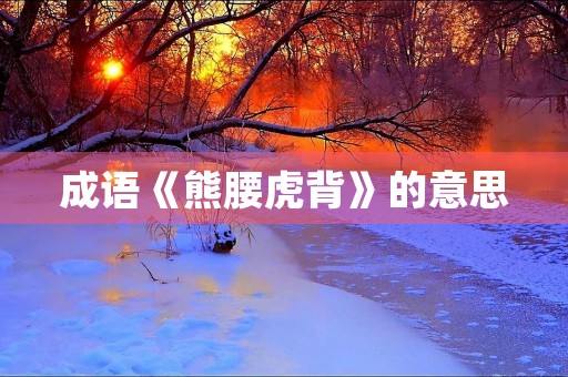 成语《熊腰虎背》的意思