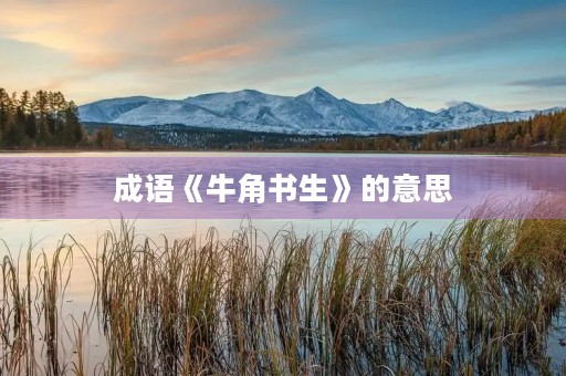 成语《牛角书生》的意思