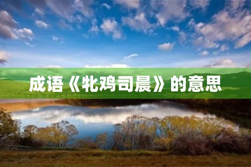 成语《牝鸡司晨》的意思 成语《牝鸡司晨》的意思