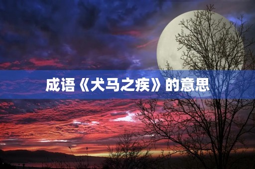 成语《犬马之疾》的意思