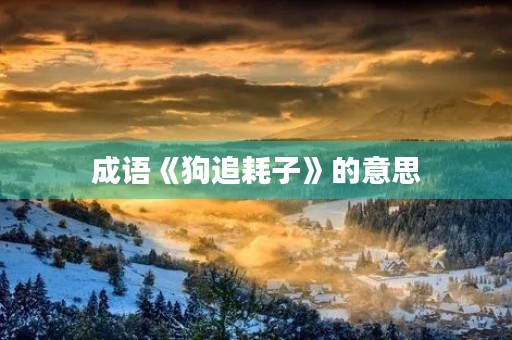 成语《狗追耗子》的意思 成语《狗追耗子》的意思