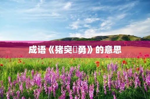 成语《猪突豨勇》的意思