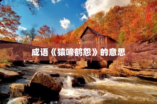 成语《猿啼鹤怨》的意思 成语《猿啼鹤怨》的意思