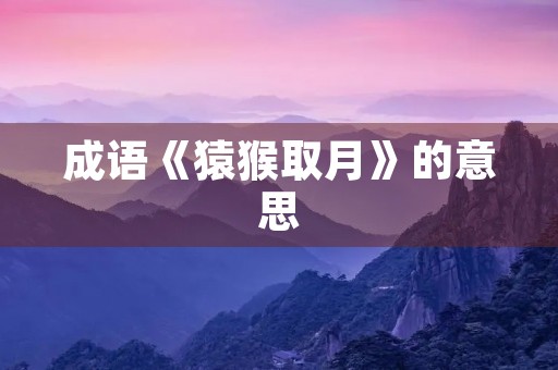 成语《猿猴取月》的意思