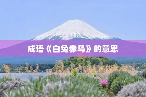 成语《白兔赤乌》的意思