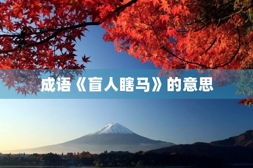 成语《盲人瞎马》的意思