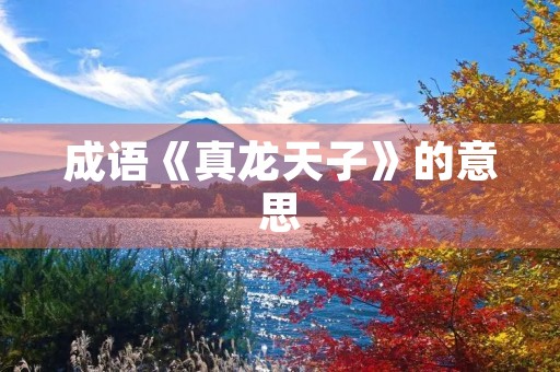 成语《真龙天子》的意思