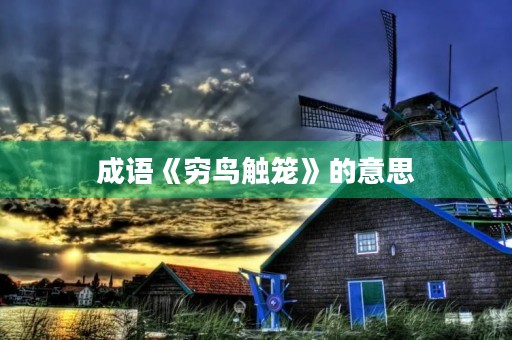 成语《穷鸟触笼》的意思 成语《穷鸟触笼》的意思