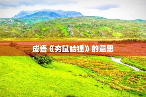 成语《穷鼠啮狸》的意思 成语《穷鼠啮狸》的意思