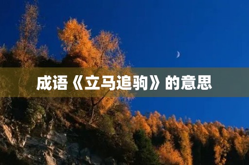 成语《立马追驹》的意思 成语《立马追驹》的意思