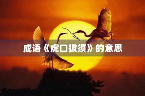 成语《虎口拔须》的意思 成语《虎口拔须》的意思