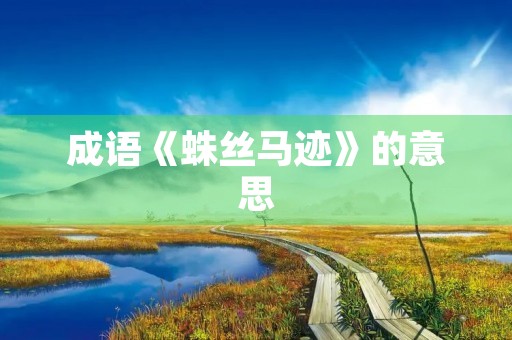 成语《蛛丝马迹》的意思