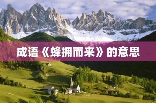 成语《蜂拥而来》的意思