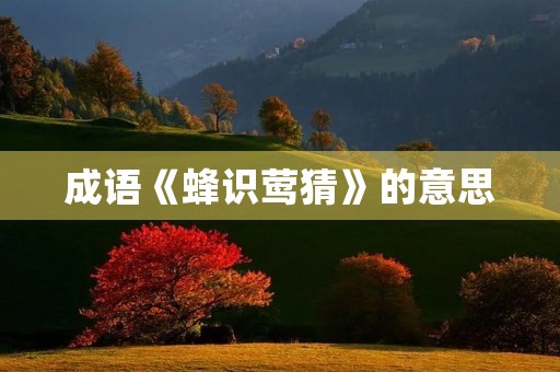 成语《蜂识莺猜》的意思