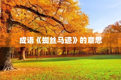 成语《蜘丝马迹》的意思