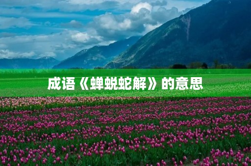 成语《蝉蜕蛇解》的意思 成语《蝉蜕蛇解》的意思