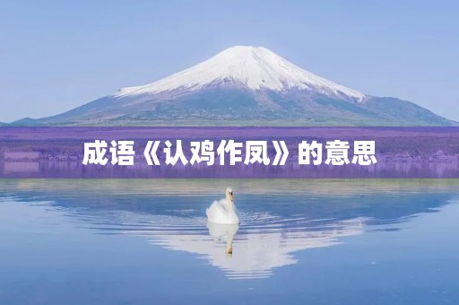成语《认鸡作凤》的意思