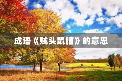 成语《贼头鼠脑》的意思