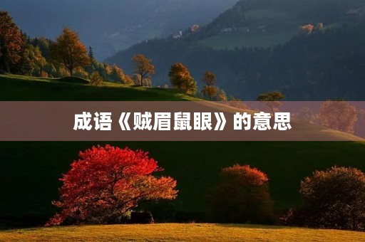 成语《贼眉鼠眼》的意思