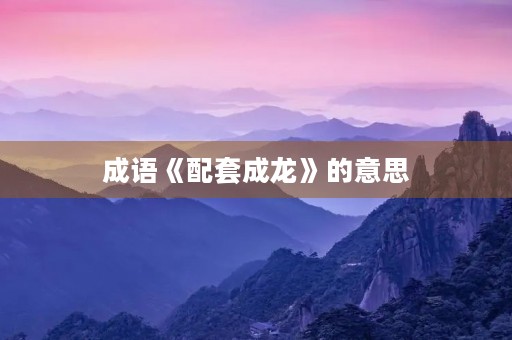 成语《配套成龙》的意思 成语《配套成龙》的意思