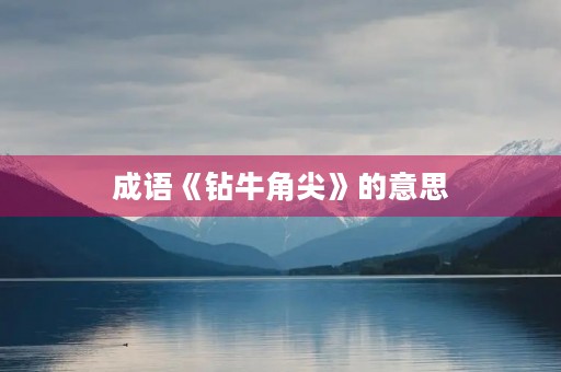 成语《钻牛角尖》的意思