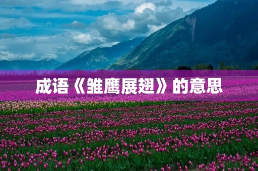 成语《雏鹰展翅》的意思