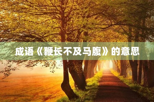 成语《鞭长不及马腹》的意思 成语《鞭长不及马腹》的意思