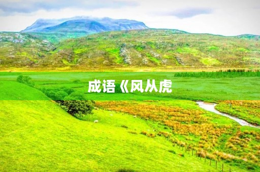 成语《风从虎,云从龙》的意思 成语《风从虎,云从龙》的意思