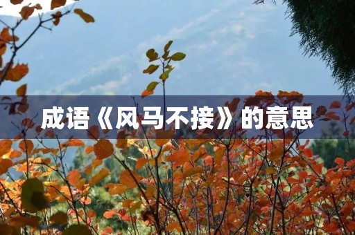 成语《风马不接》的意思 成语《风马不接》的意思