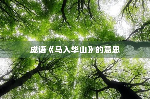 成语《马入华山》的意思 成语《马入华山》的意思