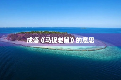成语《马捉老鼠》的意思
