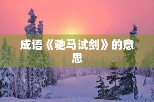 成语《驰马试剑》的意思 成语《驰马试剑》的意思