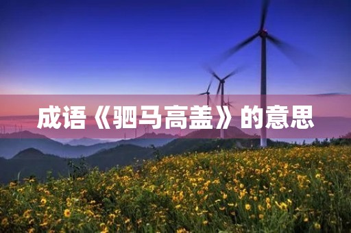 成语《驷马高盖》的意思 成语《驷马高盖》的意思