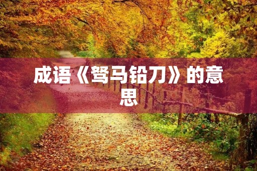 成语《驽马铅刀》的意思 成语《驽马铅刀》的意思