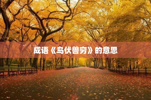 成语《鸟伏兽穷》的意思 成语《鸟伏兽穷》的意思