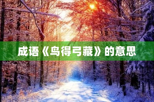 成语《鸟得弓藏》的意思 成语《鸟得弓藏》的意思