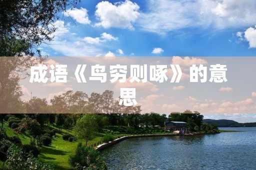 成语《鸟穷则啄》的意思 成语《鸟穷则啄》的意思
