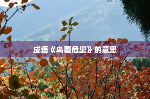 成语《鸟覆危巢》的意思 成语《鸟覆危巢》的意思