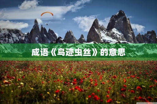成语《鸟迹虫丝》的意思 成语《鸟迹虫丝》的意思