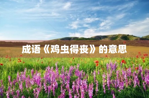 成语《鸡虫得丧》的意思 成语《鸡虫得丧》的意思