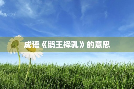 成语《鹅王择乳》的意思 成语《鹅王择乳》的意思