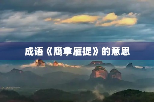 成语《鹰拿雁捉》的意思