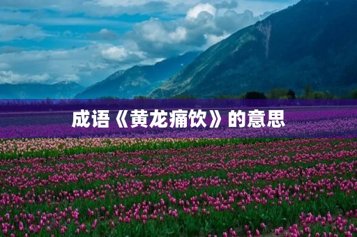 成语《黄龙痛饮》的意思 成语《黄龙痛饮》的意思