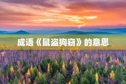 成语《鼠盗狗窃》的意思