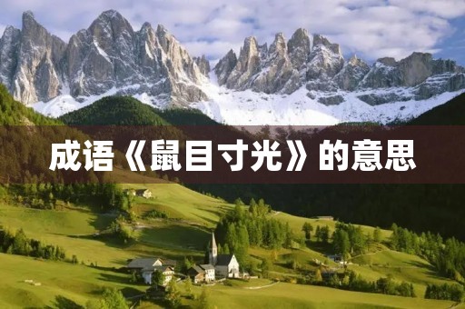 成语《鼠目寸光》的意思