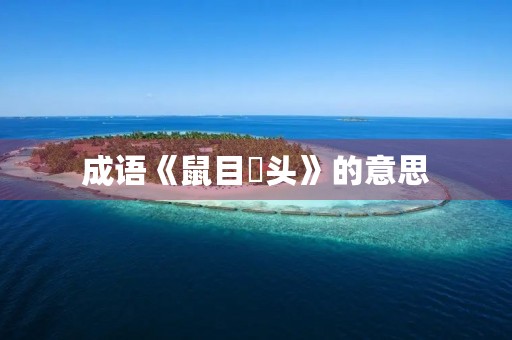 成语《鼠目麞头》的意思 成语《鼠目麞头》的意思