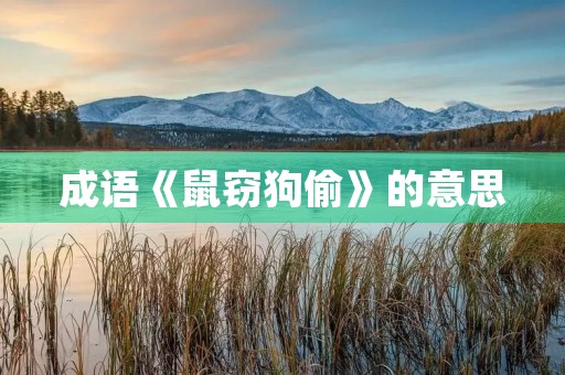 成语《鼠窃狗偷》的意思 成语《鼠窃狗偷》的意思