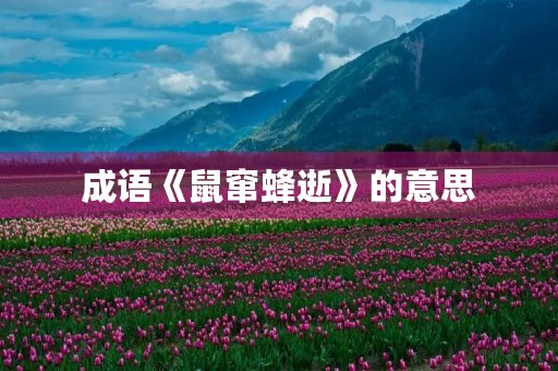 成语《鼠窜蜂逝》的意思 成语《鼠窜蜂逝》的意思