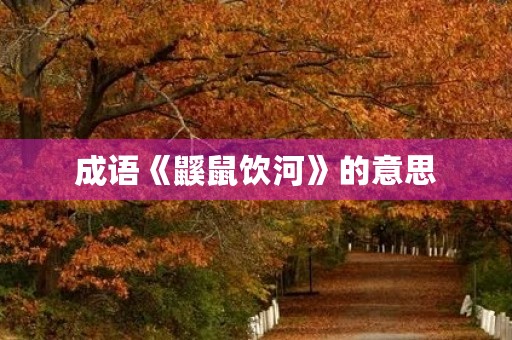 成语《鼷鼠饮河》的意思 成语《鼷鼠饮河》的意思